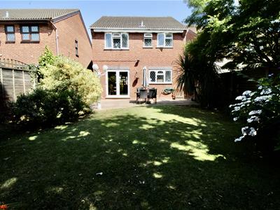 Picture 25
